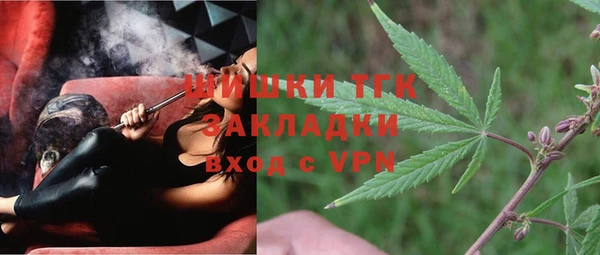 дмт Козельск