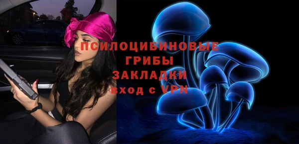 spice Кодинск