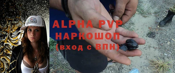apvp Коряжма