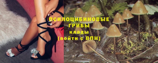герыч Корсаков