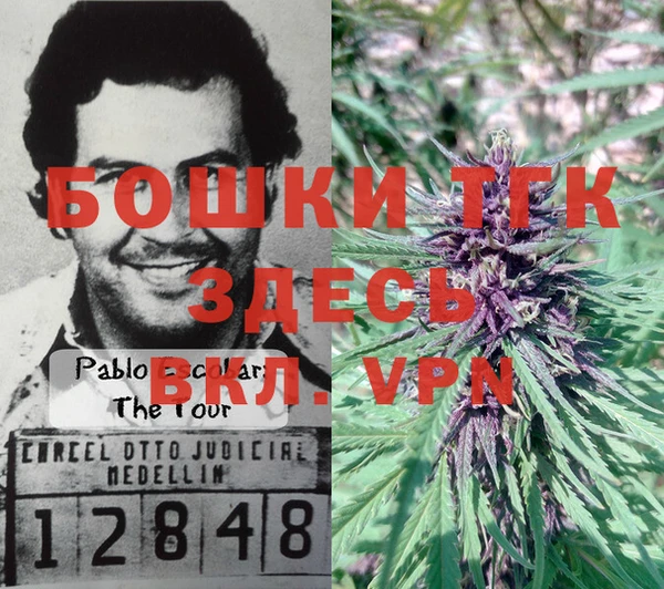 тгк Киреевск