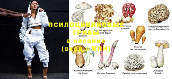 spice Кодинск