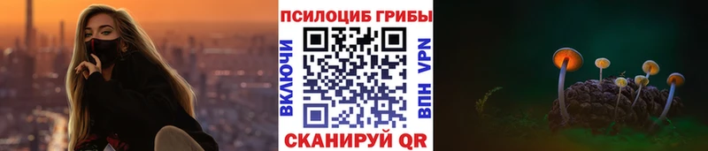 наркошоп  Мелеуз  Галлюциногенные грибы Psilocybine cubensis 